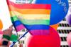 Uma bandeira com seis cores do arco-íris, incluindo vermelho, laranja, amarelo, verde, azul e roxo. Comummente utilizada pelo movimento LGBT como bandeira de orgulho. Esta tem os dois Ps que representam o logotipo do PayPal em branco.